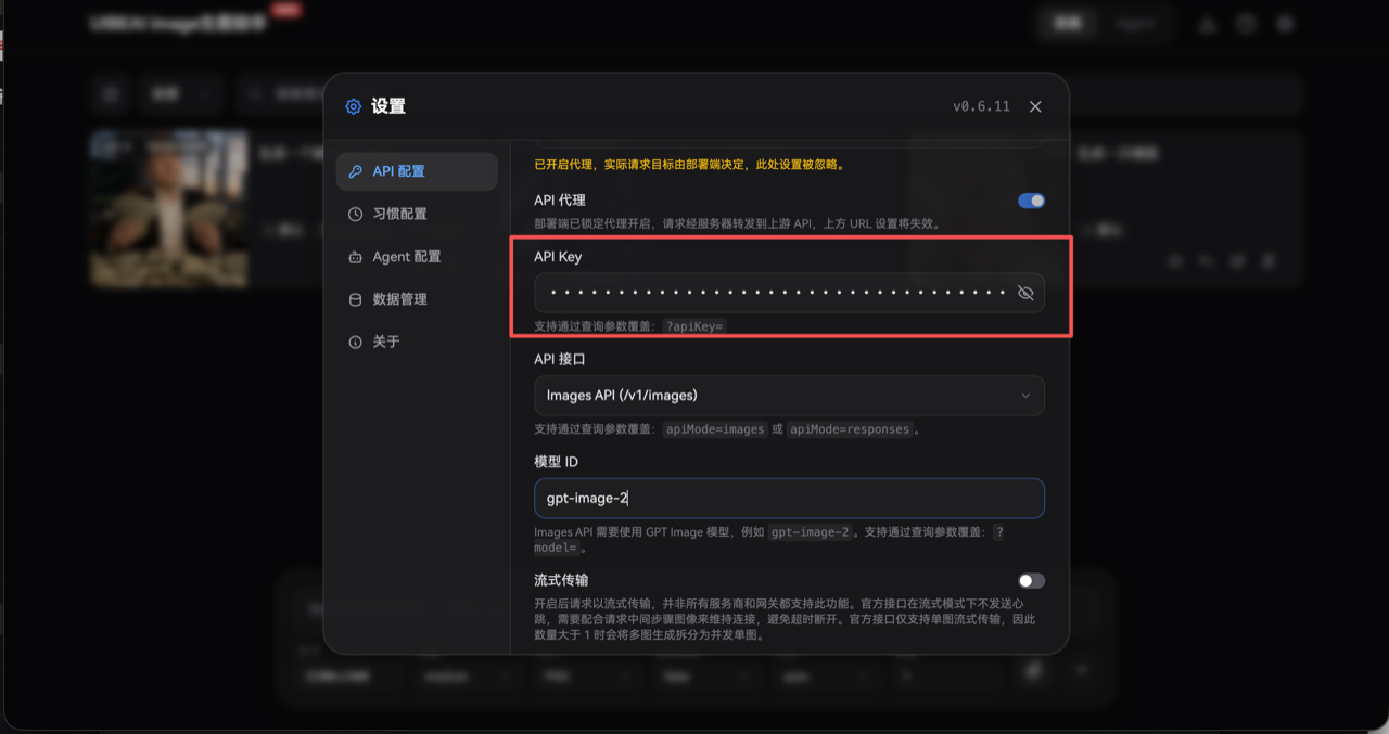 API Key 填写
